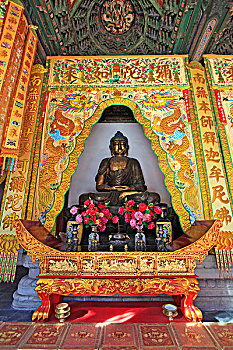 soi cau bach thu tp