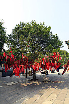 du doan xo so gia lai chinh xac 100