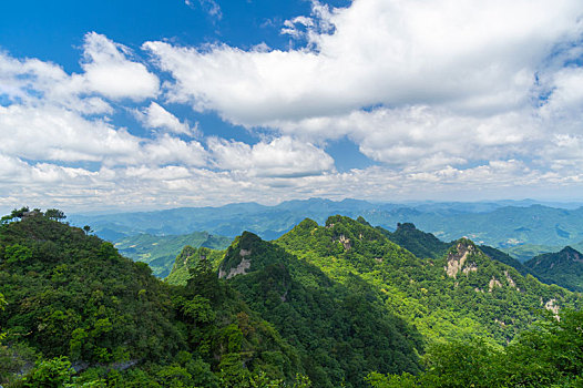 cau rong bạch kim