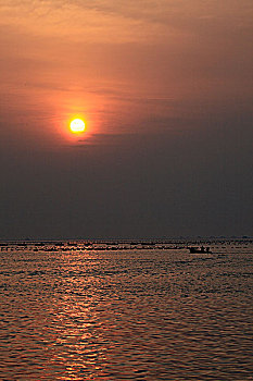 soi cau net 247