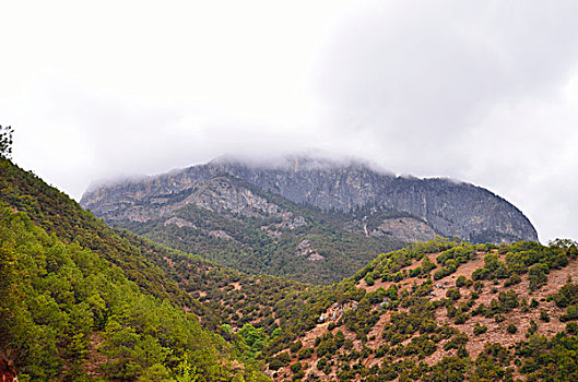 soi cau scv