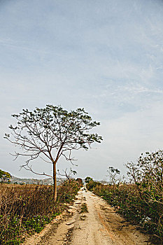 xs thu ba