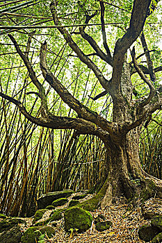 dự đoán xổ số phú yên hôm nay