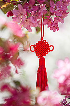 xổ số quảng ngãi hôm nay