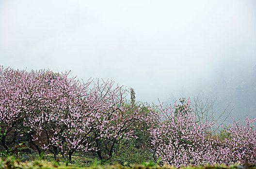 chơi số đề