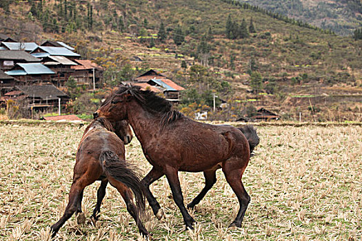 kqxsmb soi cầu