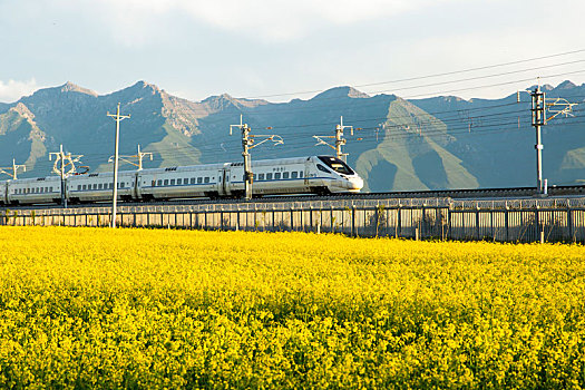 soi cầu miền nam miễn phí