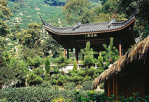 xổ số thành phố