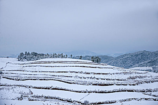 thống kê giải đặc biệt