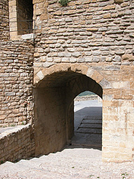 soi câu 247