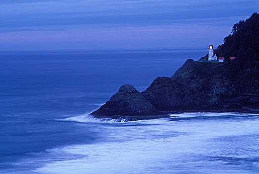 wap du doan