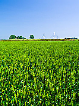 cách đánh dàn đề