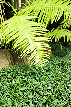 xổ số thứ bảy