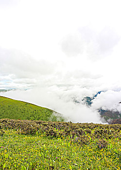chốt số hôm nay