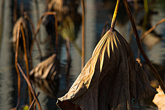 sô kết quả