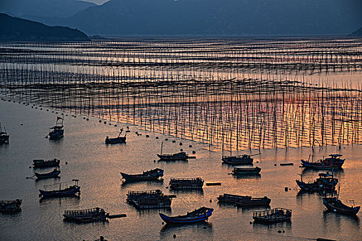 lô khung 5 ngày