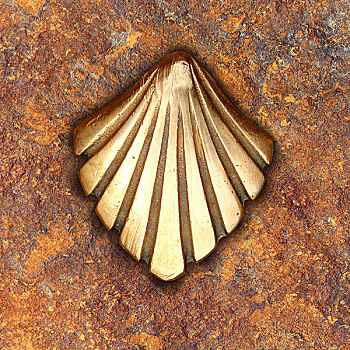 sổ kêt qua