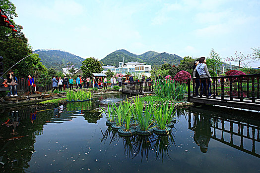 xổ sô