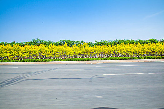hôm nay đánh lô con gì đẹp