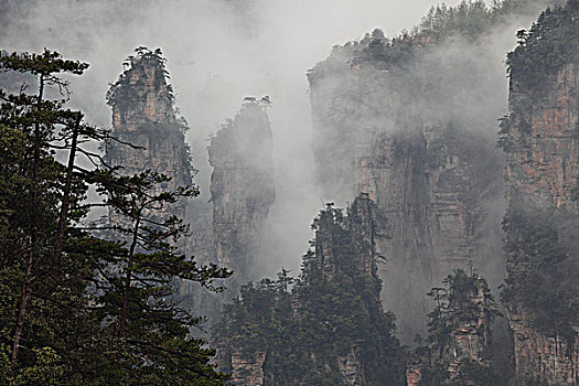 soi cau rong bach kim 2nhay