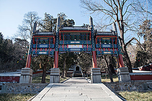 lo de rong vang bach kim