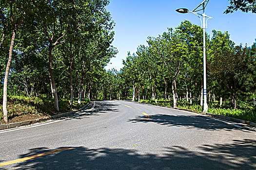 xs 30 ngay