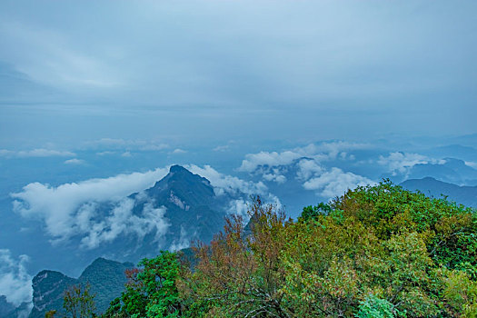 soi cau binh dinh vina24h