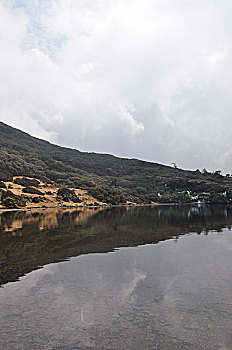 soi cầu betwin