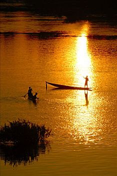 lo khung rong bach kim