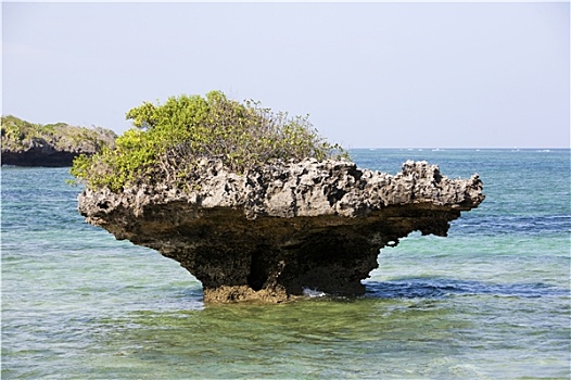 soi gio vang