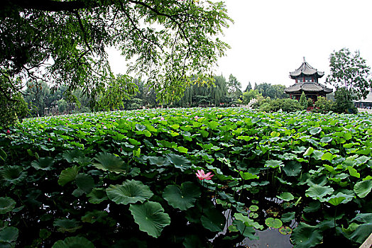 miền bắc thứ ba hàng tuần