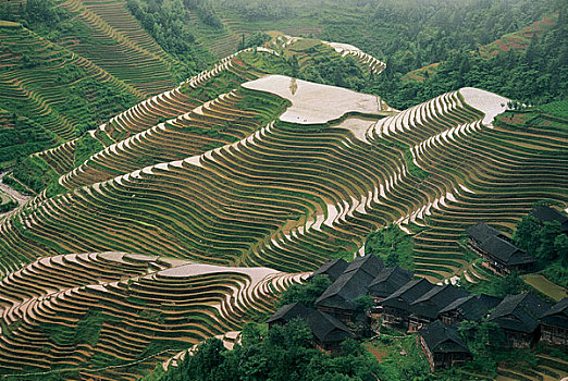 may tinh du doan xsmb