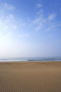 thuan vu 286