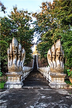 cầu bạch thủ thành phố
