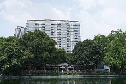 soi cau chuan