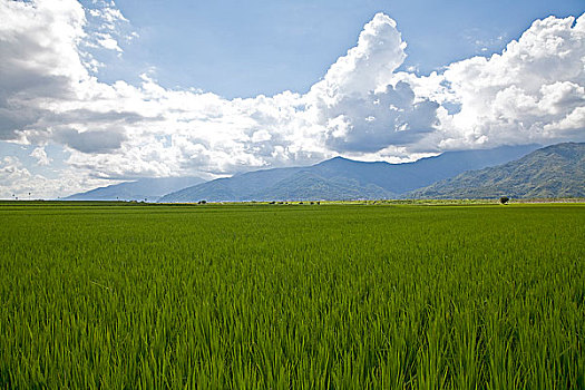 thống kê lô gan