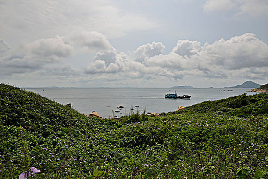 bac cau soi 288