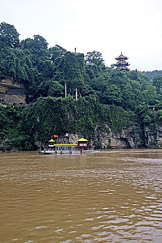 soi bạch thủ đề miền bắc
