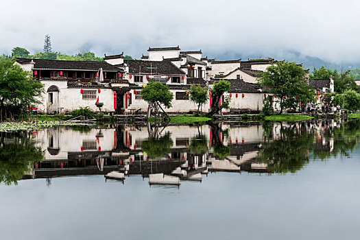thống kê rongbachkim