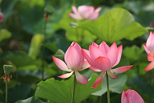 dự đoán 3 càng hôm nay