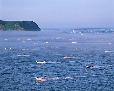 xổ số gì