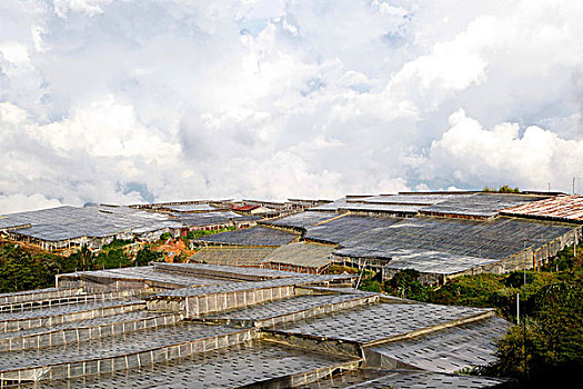 xổ số kiên
