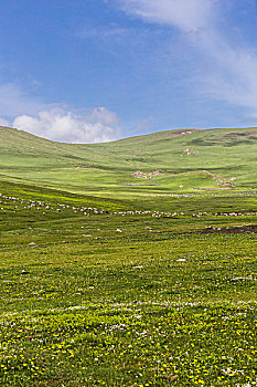 lô bach thu hom nay