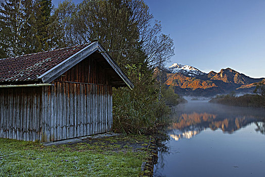 du doan dlk