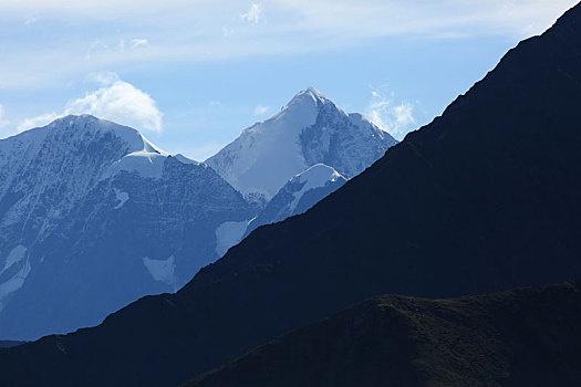 cầu số đề
