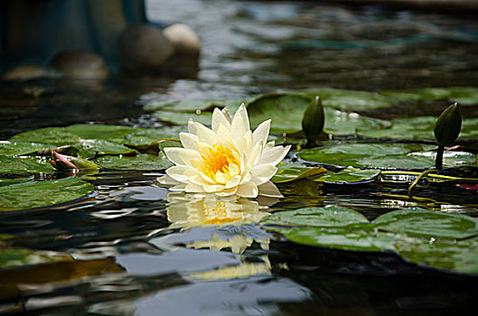 quay thử xổ số đắk lắk