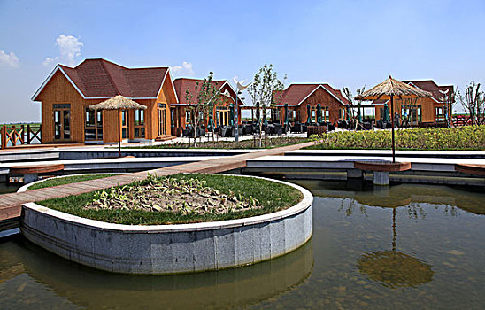thống kê xổ số long an