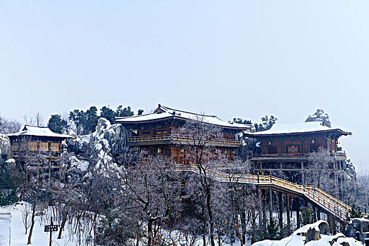 soicau888 rongbachkim