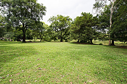 dàn lô đẹp hôm nay
